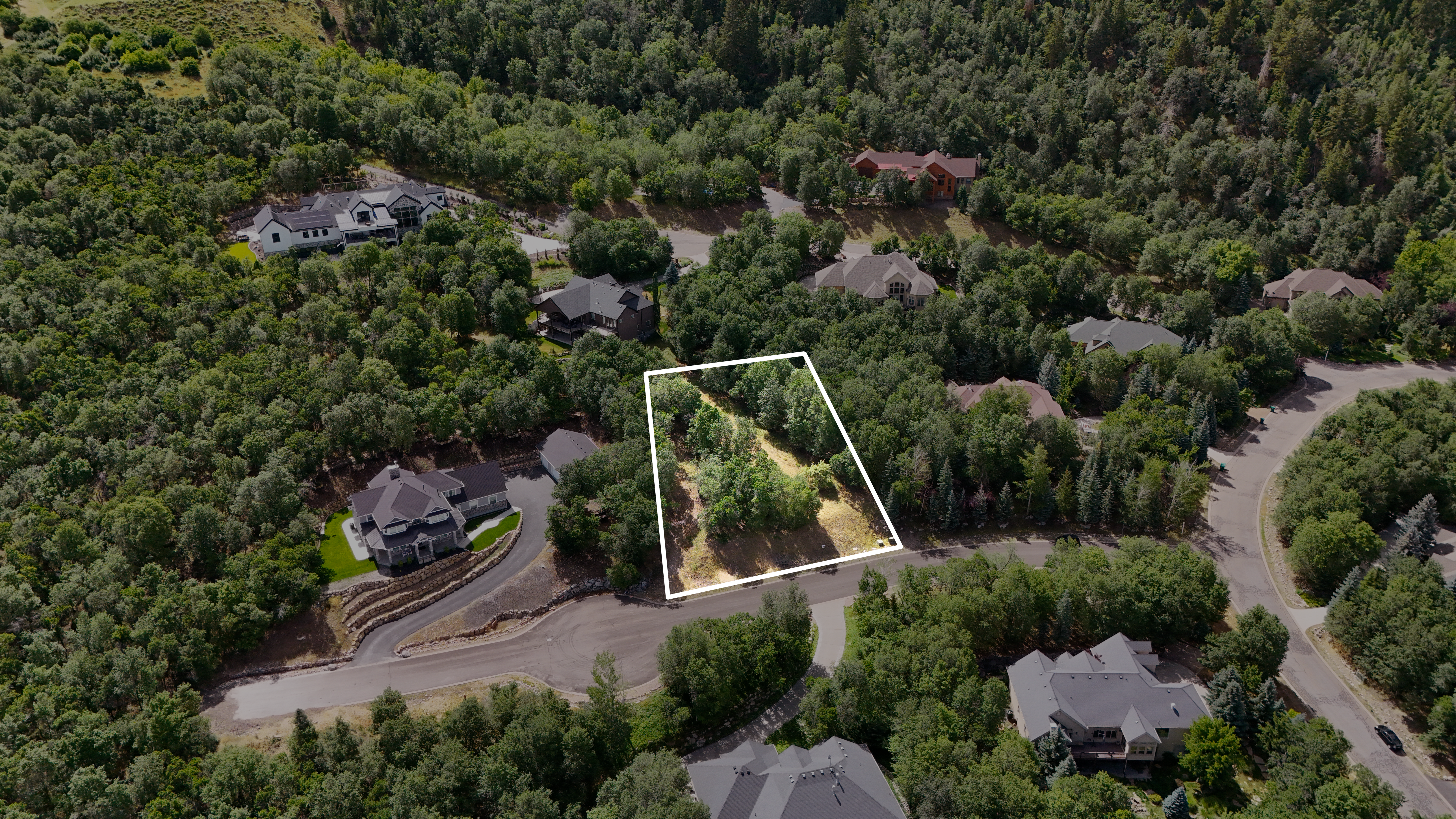 Property line overlay 1040 Woodlands lot